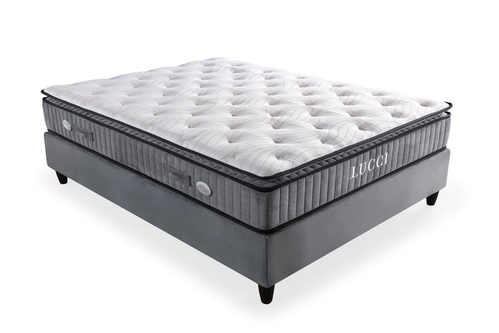 K- Lucci Bed Sets